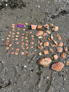 ffb8f83ca4569a98cb1e5d621254062413142b1f