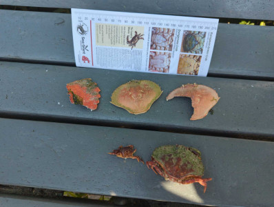 93b20d0dca36a450a903c2be952b348d914def1f