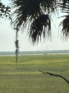 2a631eafa57773b7a9fa3ce57ad0bc8c53e050e8