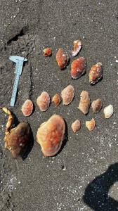 e0a57440e5acbacc5f9849ad7afcbc6aa0b4508d