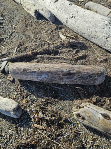 5db4256384420bf50ccc6709af05a311f531cef8