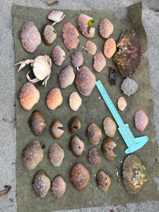 66701d5b5f1d99c5f94220fe8bee9ff8650093d8