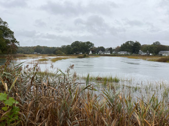 43f8ce7079dadb9c1b2c16e26ca14a7558ef5059