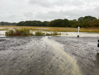 2c245142573914aed2ff6f1029d4c919bd248039