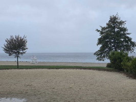 95c87c168537efd53c4c13a8556890dd21792dba