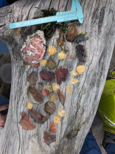 e695a4a504a4fdd446d2909d5c980f54739e0c41