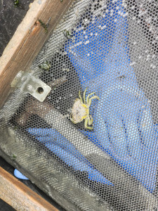 e9c57e729b6285c8699e464c8d8f22c33662d016