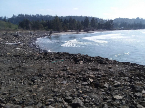 bfa559224f12990324e9572b5dfdd0b4fddf5169