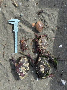 68d9476e78d2c5d01d4bb5711ef474b4538b5688