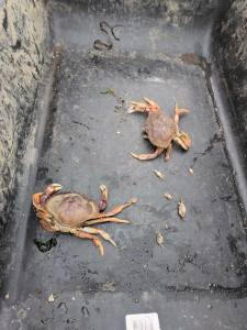 649614ee35c1143aab5bb1682ecc1f1fe86b7ff6