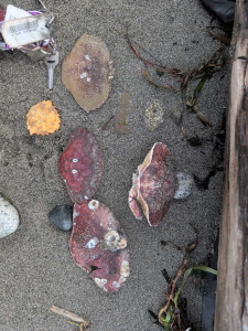 6e28faab118093420fc0c766ae2d23ac1f16bee6