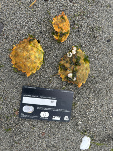 5c6506476cfdce1e5f3ba2fb4bcf98590192b339