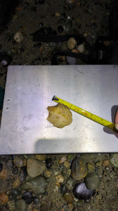 4cc6f486ead7ca1ffb1b9cd9f16e7197628769c3