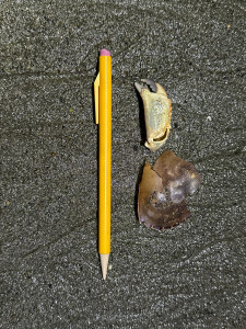 5bf237368fde0a00c2b4364d6947e53cbc02dfb0