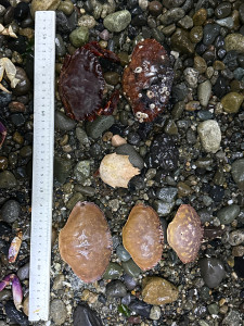 5f534ec8371e4a4e94de877f85637e50bf751bd6