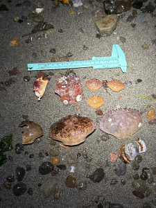 997e302ec73c278f27fb3bf8e87ae76b09554ed7