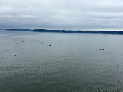 c19396317acb02eef8af0a945f992d188d59f81c