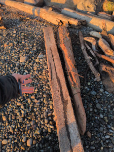 a83f637a1ee15c83be80ad6570dc974d34197eb1