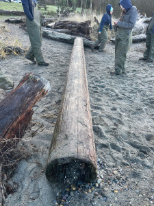 2e7bf9a4a9a481dbbf81a91a82df4c3ce173fa53