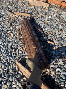 31bcd63422786d413f3fb0b089e64292f00c584c