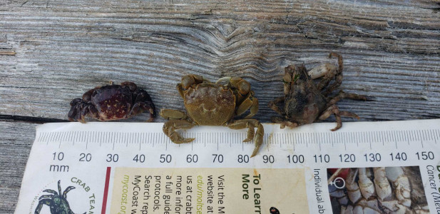 0d28d626fbcb256a7cd57090eb7d62334120c3d2