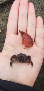 3e9bfc3680aeca5f5f8251aab9d8c0129dbca98b