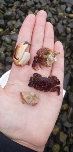 ec71c5cae0ea269eb1ef01b7ebbdfce3c9e3be94