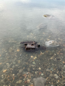 37497342b6dc88615470a283020e098609b37b20