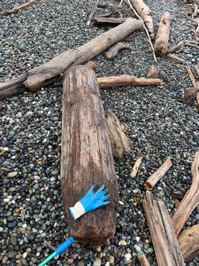 87e9bbd42095f466fa3307ab1944b05e2a1cc3b6