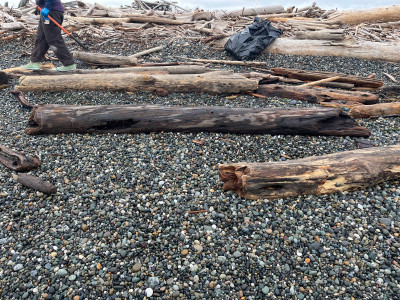 cbfbf0dbf8719abe8fddbb3fe1d62766da9e0f69