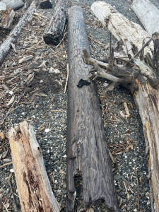 583fbc53aa4f419c4a917c5617f1982d997839a6