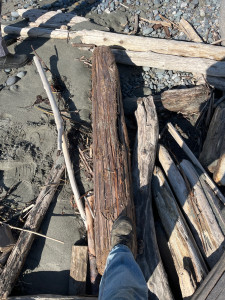 b099807556133a26d718df5c74238ec1bd7157fb