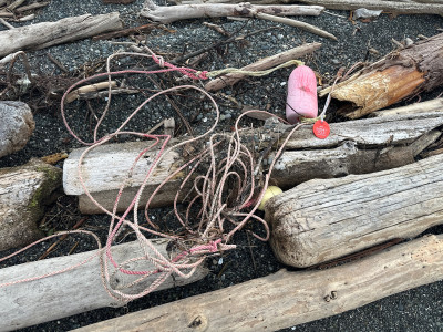 b4888bc0b56269323b93b7ed6025e0b16645b15c