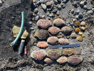 de37f6a5d7148cbb94cd037229eb6cef89a82ff7