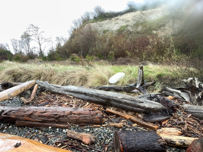 a858a027582a250f328496ef4e5cc3d9edf1ed8e