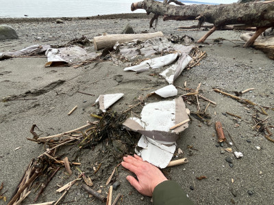 cee435e55edb6455a01b72277d7201448f8b44da