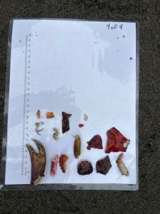 136e29f4efde632279e29749f7795af9636dabf8