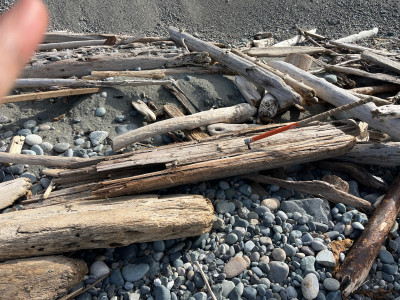 f5f37178bb6bff8313dc0199defb6ceee39f9943