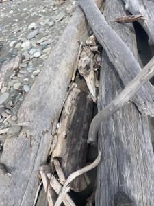 36598447bcda32f55c6e4580c8299a8ae45e1bcd